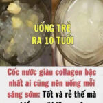 Cốc nước giàu collagen bậc nhất phụ nữ nên uống mỗi sáng sớm: tốt và rẻ thế mà nhiều người lãng quên – Blog