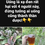 Bài viết ‹ Tin tức trong ngày — WordPress